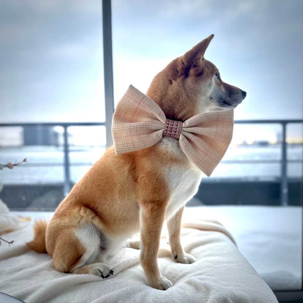 “Simple living. Real life. Happy&nbsp;pets.”