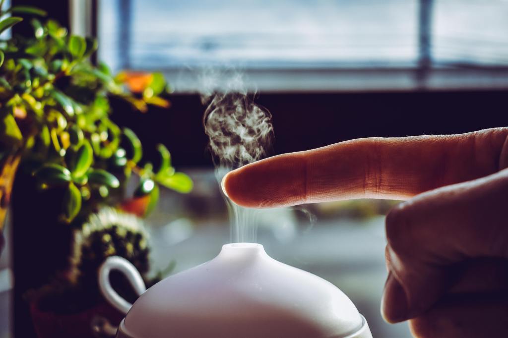How to Choose the Right Humidifier for a Healthier Home: What You Need to&nbsp;Know
