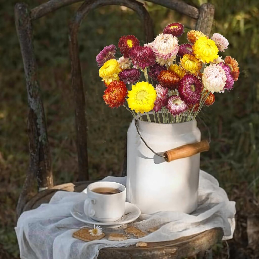 Natural Dried Daisy Flowers Bouquet