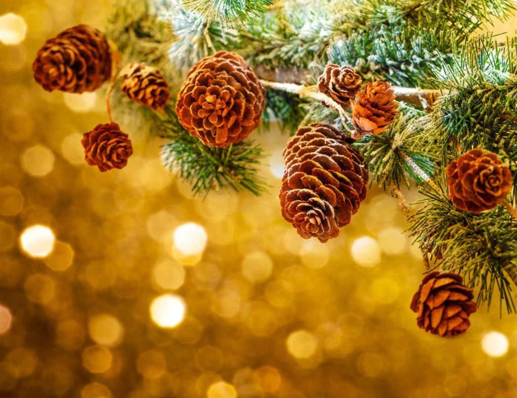 Natural Mini Pinecones Ornaments for DIY Crafts