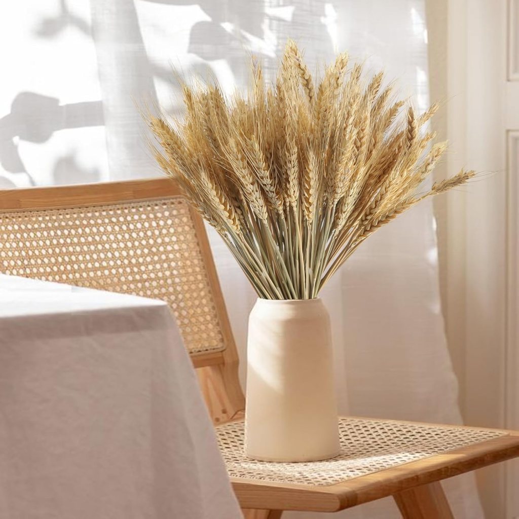 Dried Wheat Stalks for Decor
